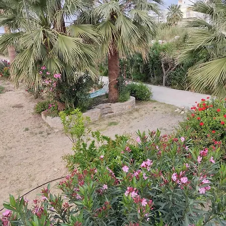 Violetta Aparthotel 3*